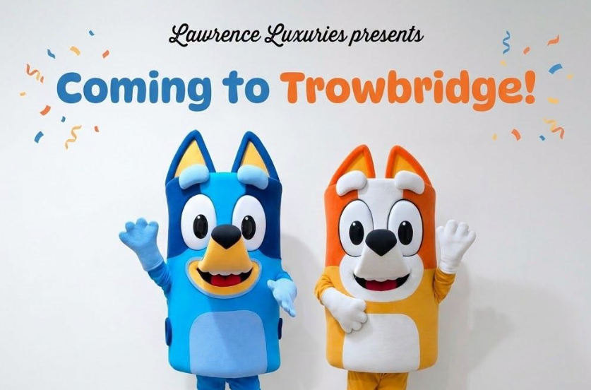 Bluey In Trowbridge